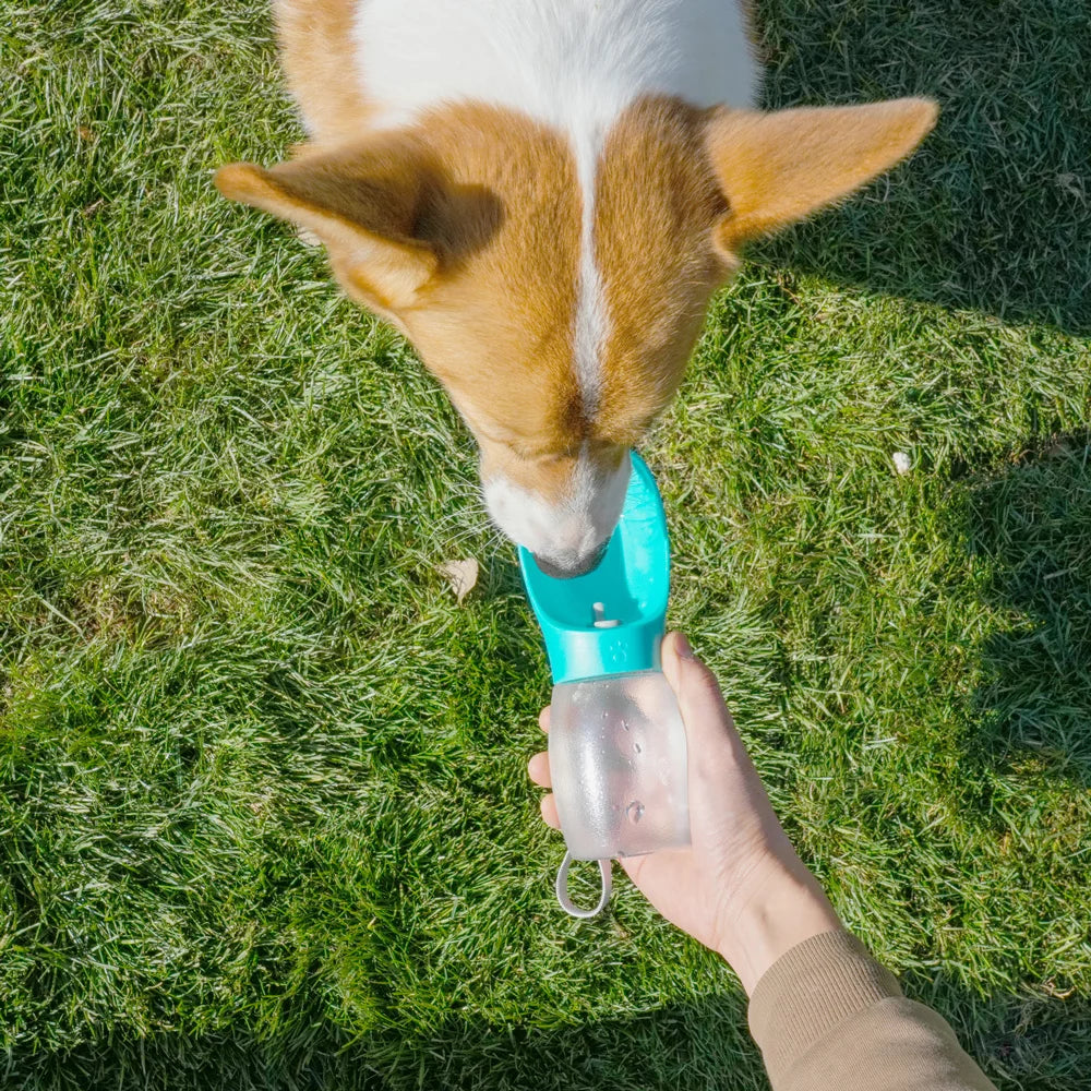 Botella para perro