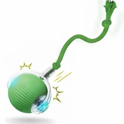 Pelota Activa Anti-Aburrimiento